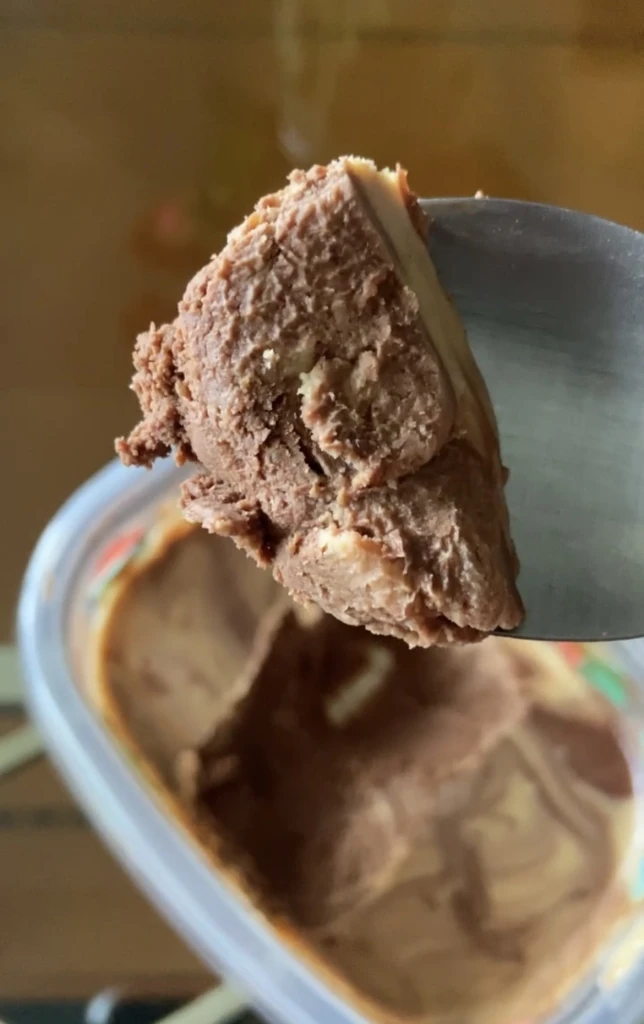 Peanut Butter Chocolate Ice Cream